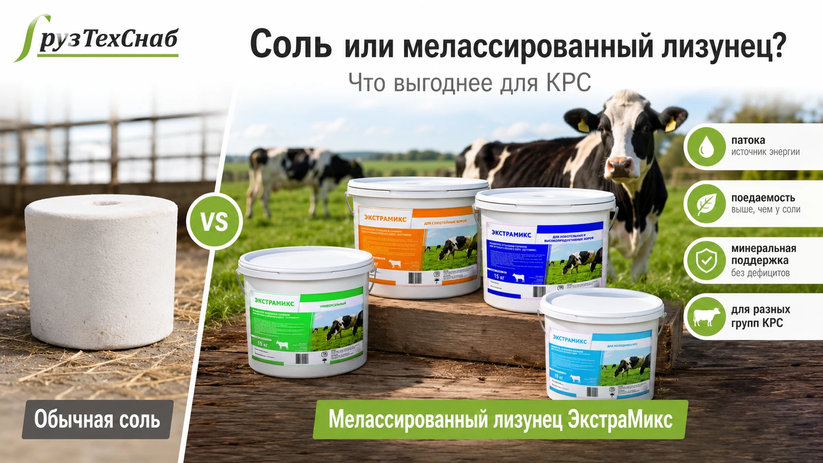 Мелассированный лизунец ЭкстраМикс и обычная соль для КРС — сравнение выбора для коров и молодняка